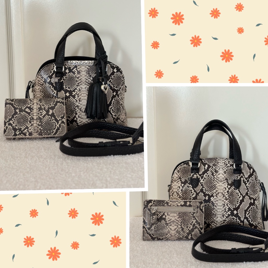 Brighton Ronan Python Set